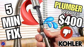  LEAKY Kohler Kitchen Faucet EASY FIX WITHOUT CURSING  PULL OUT Hose REPLACEMENT