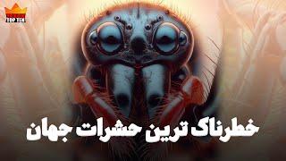 خطرناک ترین حشرات جهان