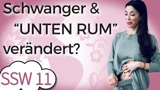 SSW 11 Veränderungen im Intimbereich Libido in der Schwangerschaft  Mein Kinderwunsch