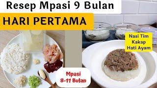 Resep Nasi Tim Bayi 9 Bulan  Mpasi Penambah Berat Badan Bayi