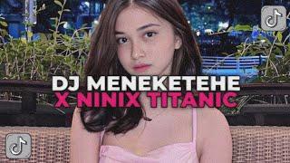 DJ TIAP HARI BERTEMU KAMU DIAM DIAM GITU  DJ MENEKETEHE X NINIX TITANIC BOOTLEG FEBRI REMIX