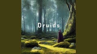 Druids