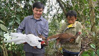 Go to the old forest dig tubers meet the hunter and the white pheasants. Robert  Green forest life