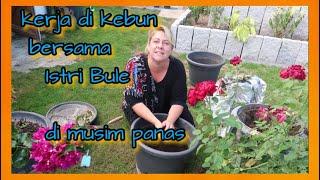 Kerja di kebun di musim panas bersama istri Bule  kerja keras di Jerman