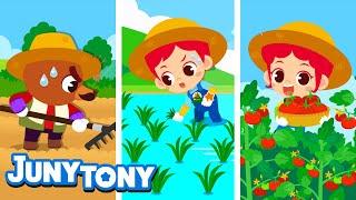 Farmer  Learn How Crops Are Grown and Harvested  Job Songs for Kids  Preschool Songs  JunyTony