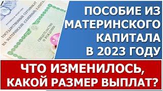 Ежемесячная выплата из материнского капитала в 2023 году. Размер пособия обзор изменений