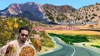 Afghanistan Pistachio  Badghis Highway  پسته لق بادغیس افغانستان
