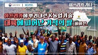 KOPIA 아프리카에 뿌리내린 K농업기술 대륙에 피어난 기적의 쌀풀버전