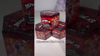 Miraculous Ladybug Blind Boxes Opening