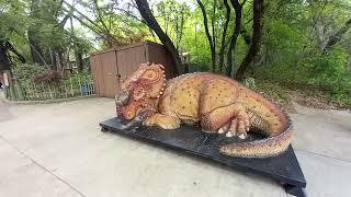 Animals of the Dallas Zoo in Dallas Texas Plus Dinosaurs Part 2.