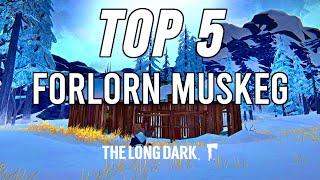 TOP 5 Base Locations for Beginners - Forlorn Muskeg The Long Dark