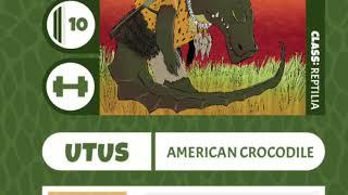 American Crocodile Exercise Video