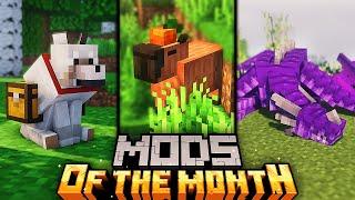 TOP 20 Minecraft Mods OF The Month 1.20+  March 2024 Forge&Fabric