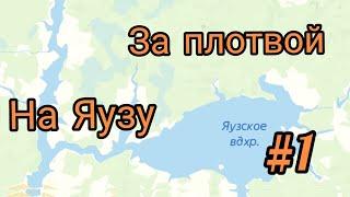 За плотвой на Яузское водохранилище с ночевкой. Часть 1.