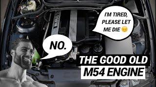 Everything You Need To Know About BMWs M54 Engine