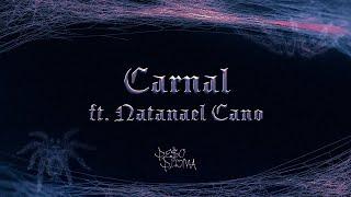 CARNAL Lyric Video - Peso Pluma Natanael Cano