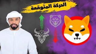 عملة شيبا اينو Shiba inu هل ممكن ان تصعد مرة اخرى  --06072024