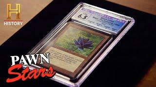 HOLY GRAIL of Magic Cards ULTRA RARE Black Lotus  Pawn Stars Do America Season 1