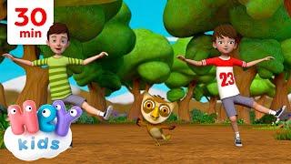 Coucou hibou  Dans la foret lointaine  Chansons pour Enfants  HeyKids en Français