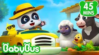 Seu Macdonald Tinha um Sítio  Bebê Panda  Canção da Fazenda  Músicas Infantis  por BabyBus