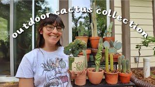 My Outdoor Cactus Collection  your sign to put your cactus outside this summer