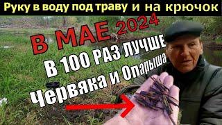 В МАЕ ТОЛЬКО НА ЭТО СУПЕР КЛЁВ.  Опустил руку в воду и Вот наживка для рыбалки в мае на карася и т.д