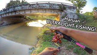 Casting IKAN HARUAN ULTRALIGHT FISHING