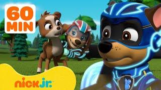 PAW Patrol Mighty Pups Ultimate Animal Rescues w Chase & Liberty  1 Hour Compilation  Nick Jr.