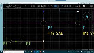 Hydraulic Manifold Circuit Design on the Web using NetSkeme Hydraulic