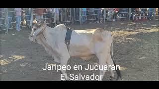 Jaripeo en Jucuaran Usulutan El Salvador On Cuidado con el Toro