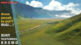 Bukit Teletubbies BROMO  Rugi kalau belum pernah ke sini