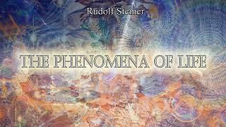 The Phenomena of Life By Rudolf Steiner #audiobook #knowledge #spirituality #books #teaching