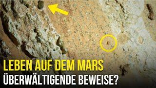 Perseverance findet Hinweise auf Leben auf dem Mars? Dieser Stein schockierte die NASA