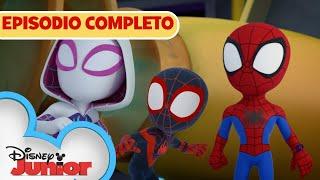 Ragni piccini picciò  Marvel Spidey e i suoi fantastici amici  EPISODIO COMPLETO 19