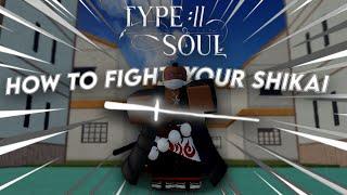 TYPE SOUL HOW TO FIGHT YOUR SHIKAI EASILY