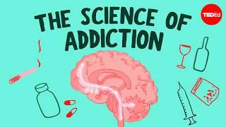 What causes addiction and why is it so hard to treat? - Judy Grisel