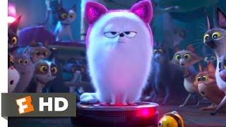 The Secret Life of Pets 2 - Dog vs. Cats Scene 510  Movieclips