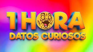 1 HORA DE DATOS CURIOSOS Y CURIOSIDADES ⏰