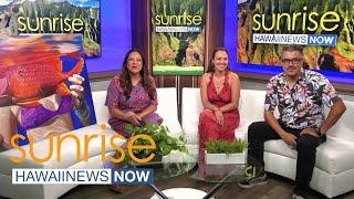 Hawaii News Now Sunrise Weekend at 7 a.m. - clipped version