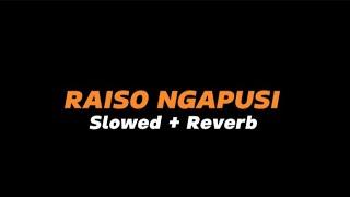 RAISO NGAPUSI  -  Slowed + Reverb Full Lirik