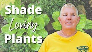 The Best Shade Loving Plants - Shade Garden Plants