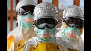 Reapareció el Virus de Marburgo cercano al Ébola y casi tan mortal