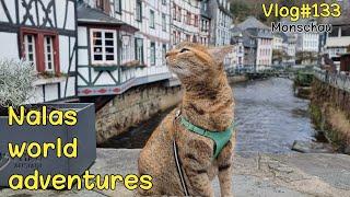 NALA exploring Monschau  Vlog #133