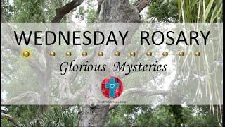 Wednesday Rosary • Glorious Mysteries of the Rosary ️ July 17 2024 VIRTUAL ROSARY -MEDITATION