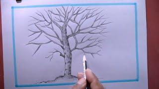 Drawing Tree EasyHow To DrawTree Drawing Step By Step