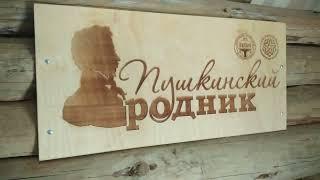 Родник Пушкинский в Кировграде