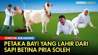 Akhirnya Sapi Pria Soleh Melahirkan Bayi