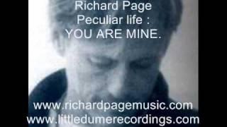 RICHARD PAGE Mr Mister  Peculiar life songs.