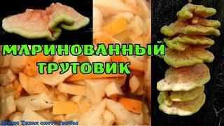 Нежные ломтики трутовика просто тают во рту  Мариную серно-жёлтый трутовик