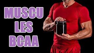 Comment prendre de la BCAA en musculation - Les  effets des acides aminés